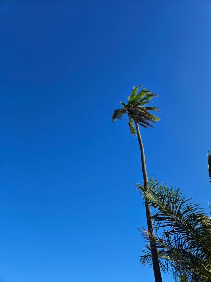 Al Mar Suites Praia do Forte Exteriér fotografie